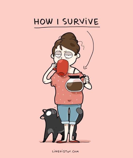 OreoKitties's tweet photo. Cats & coffee, how I survive. ☕️🐱😹😻🙀😿😽😸😺😾😼🐈🐈⬛
#cats #Coffee #survival #catsandcoffee #catthuglife #CatsAreFamily https://t.co/fC2n1yWOAA
