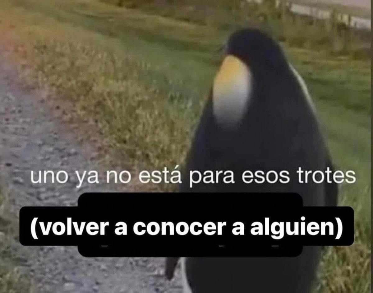 triste y con ganas de morirme ☹︎ (@cxrrly) on Twitter photo 