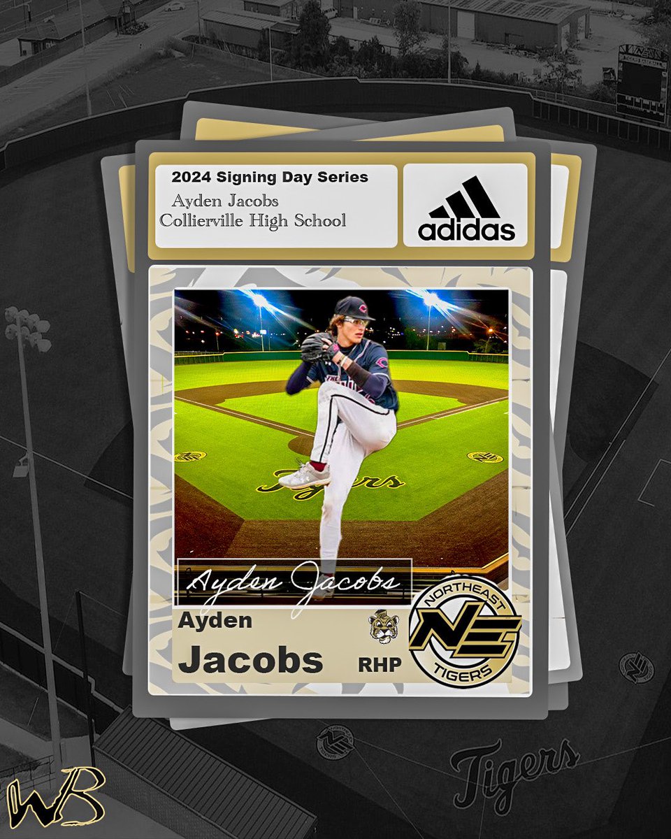 Welcome to TigerTown! 🐯⚾️