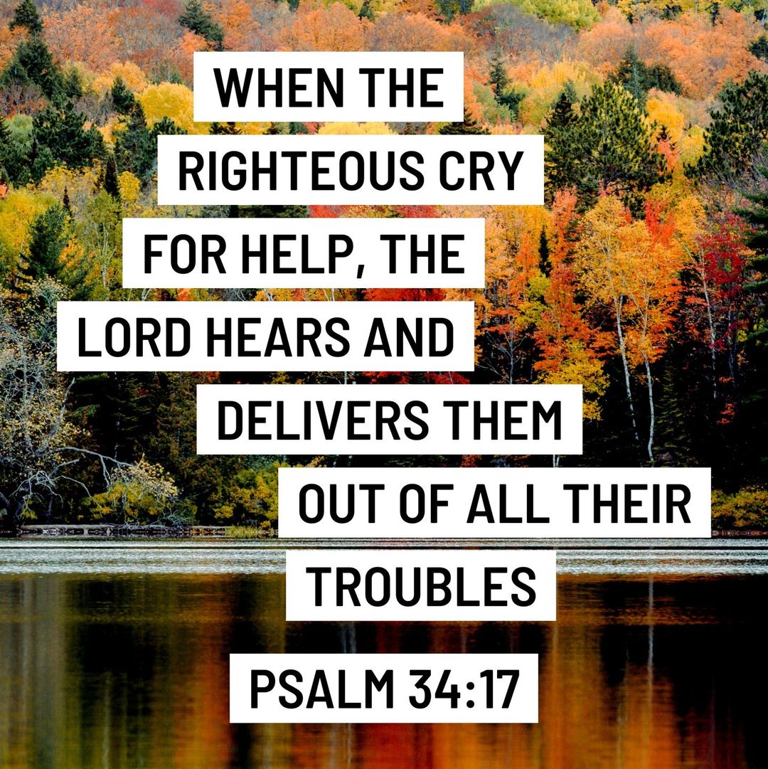 graciapearl's tweet photo. Posted @withregram • @allthingsworktogetherforgood Psalm 34:17 - When the righteous cry [for help], the Lord hears. And rescues them from all their distress and troubles.⁠
⁠
#biblicaltruth #dailydevotion #faithblogger #faithhopelove  #followjesus #godissogood https://t.co/9gQsEKzOIA