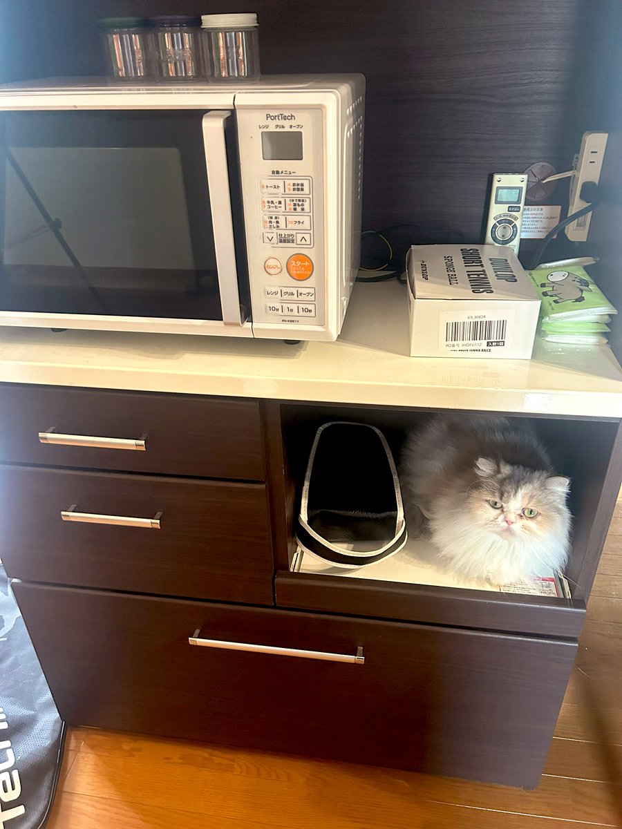 かくれんぼはまちゃん