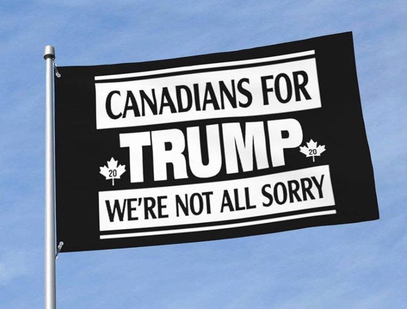 Christy4Change's tweet image. Where are my Canadians for Trump?!
🇺🇸🇨🇦