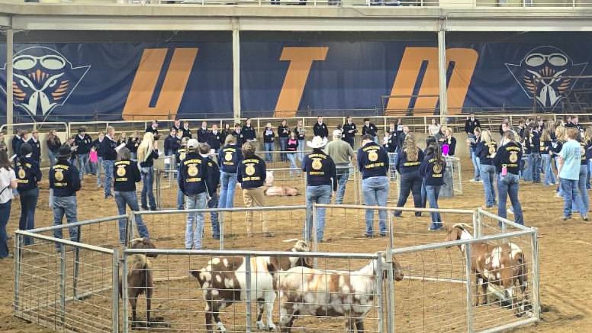 SkyhawkAggie's tweet photo. ‘@UTMFFA hosted 30 High School & Middle School FFA teams today at the West TN FFA Livestock Judging CDE. Congratulations to not only winning teams from Gibson High School & Dyersburg Middle School, but all who competed in this high impact learning experience. #UTMlovesFFA https://t.co/RGsKQn6Hh1