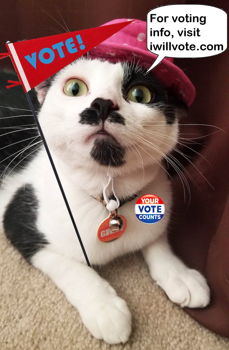 Don't forget to vote November 5, 2024!