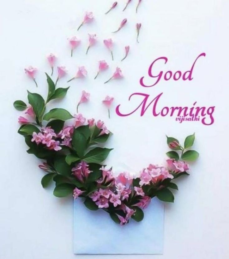 RashamianSona's tweet photo. Everything that God allows to come our way is always with a purpose. He uses even the greatest error and deepest pain to mold us into a better person. 🤍

Good Morning X Mates! 🌸 https://t.co/IsVTD6iVqW