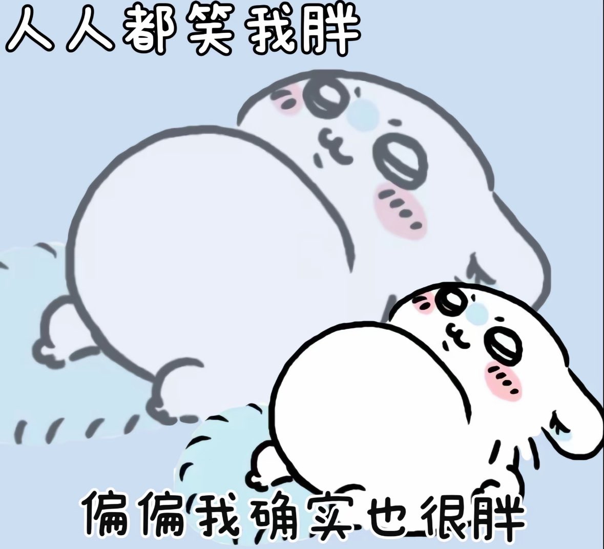 媒体预览