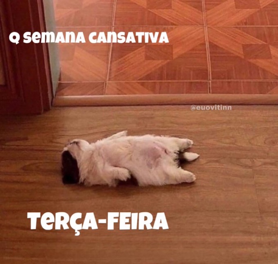 Trouxinha tweet media