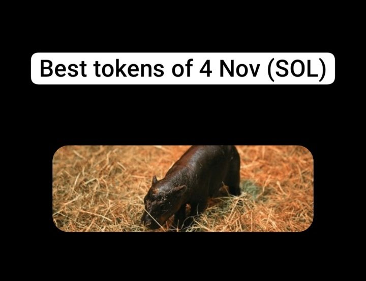 BestDailyTokens tweet media