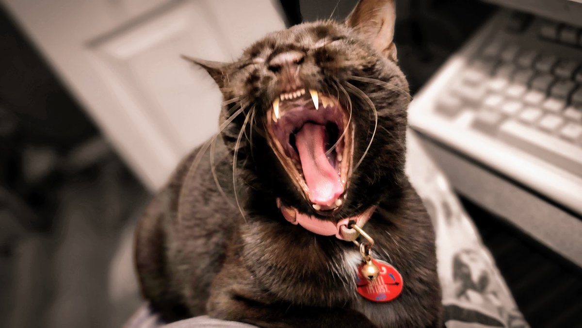 🚨VOTE BLUE TODAY VOTE BLUE TODAY VOTE BLUE TODAY VOTE BLUE TODAY VOTE BLUE TODAY VOTE BLUE TODAY VOTE BLUE TODAY VOTE BLUE TODAY VOTE BLUE TODAY VOTE BLUE TODAY VOTE BLUE TODAY VOTE BLUE TODAY VOTE BLUE TODAY VOTE BLUE TODAY VOTE BLUE TODAY VOTE BLUE TODAY 🚨 #VoteBlue