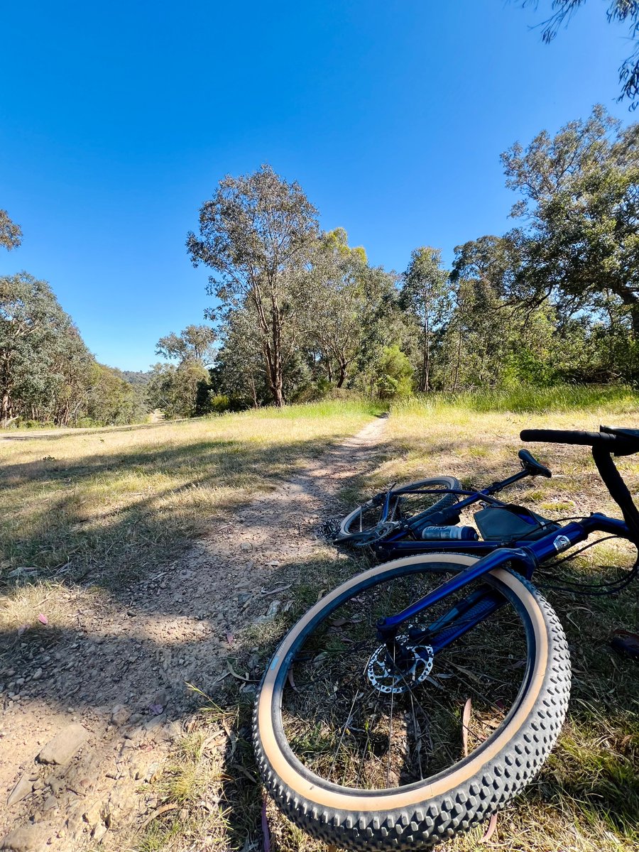 Good to have a (slightly bizarre) public holiday to get out on the trails!