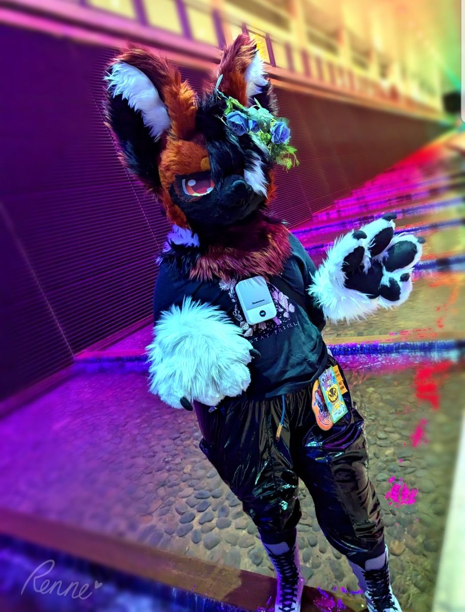 RennePom's tweet photo. So like, is he.....y'know.....

📸 taken at Anthrocon '24 by @Guildedtriangle

#furry #fursuit #fursuiter #awd #rainbow https://t.co/lbzVjyZ5cw