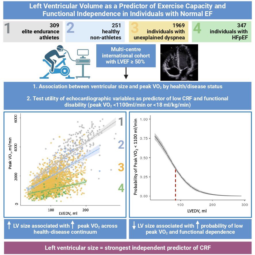 LV Volume as a Predictor of Exercise Capacity and Functional Independence in Individuals with Normal EF

This study stated that #LVEDV strongly predicts peak #VO2 in patients with EF ≥50% (R² = 0.45, stdβ = 0.30, p &lt; 0.001). 

📍LVEDV AUC = 0.72 for identifying low CRF. 
📍Key