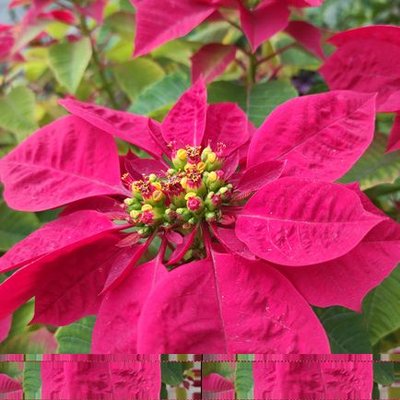 Your work will lead you to great success. I wholeheartedly recommend this article to anyone seeking a profound yet accessible read. Van Balthazor