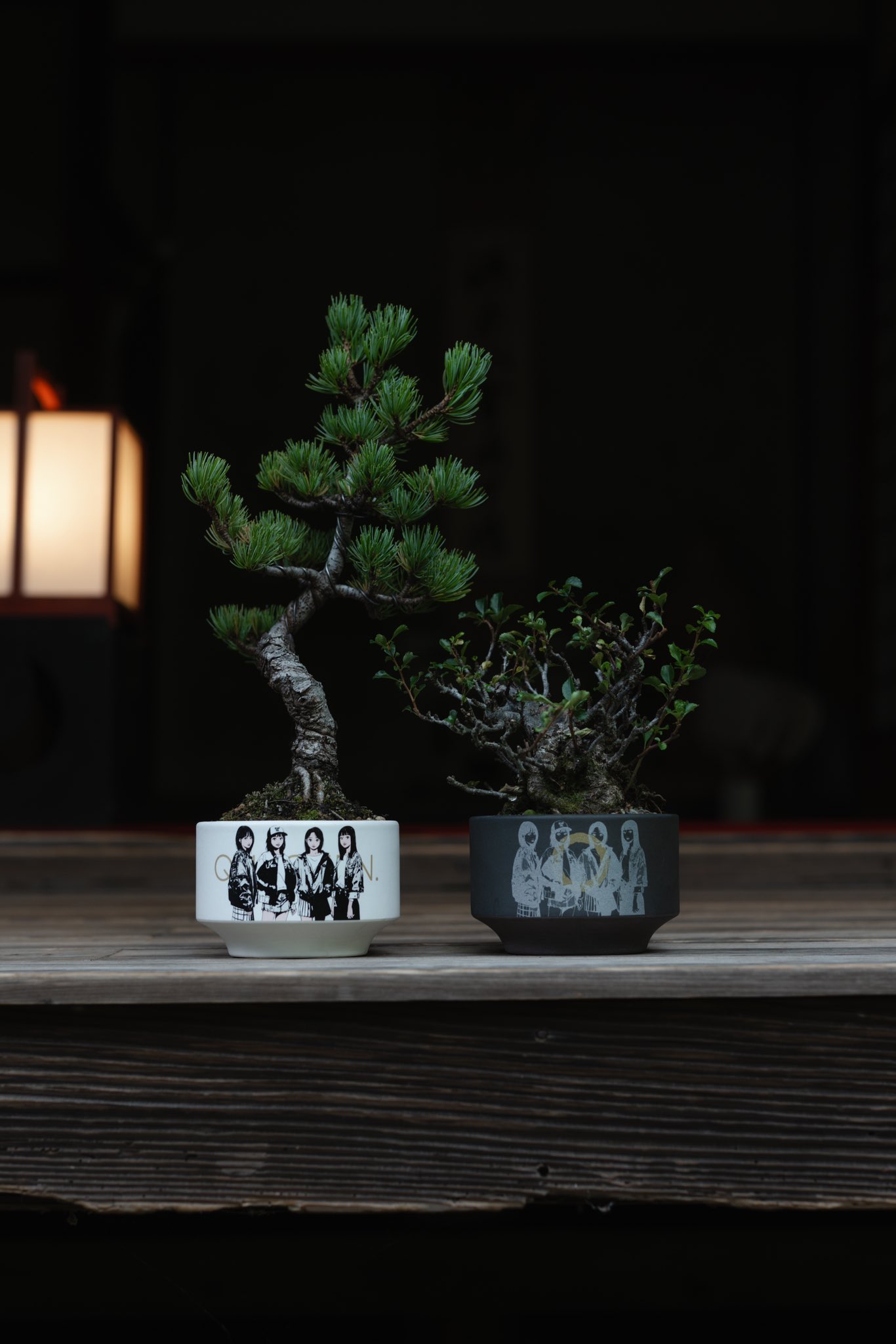 backside works コラボ　鉢　QUTOTEN 植木鉢　黒 backside works コラボ鉢QUTOTEN 植木鉢黒