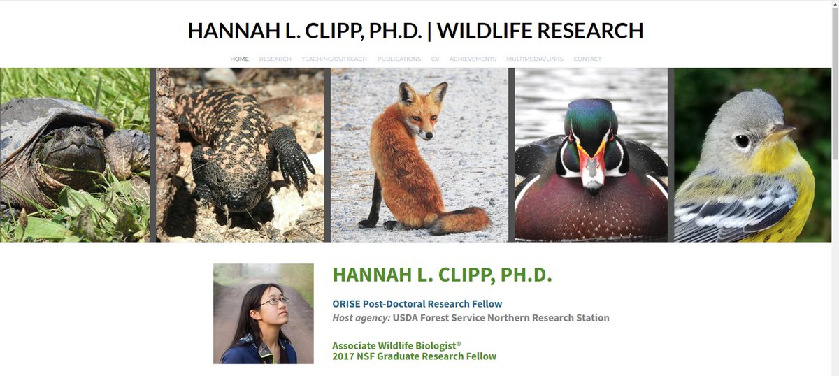 Hannah Clipp, PhD tweet media