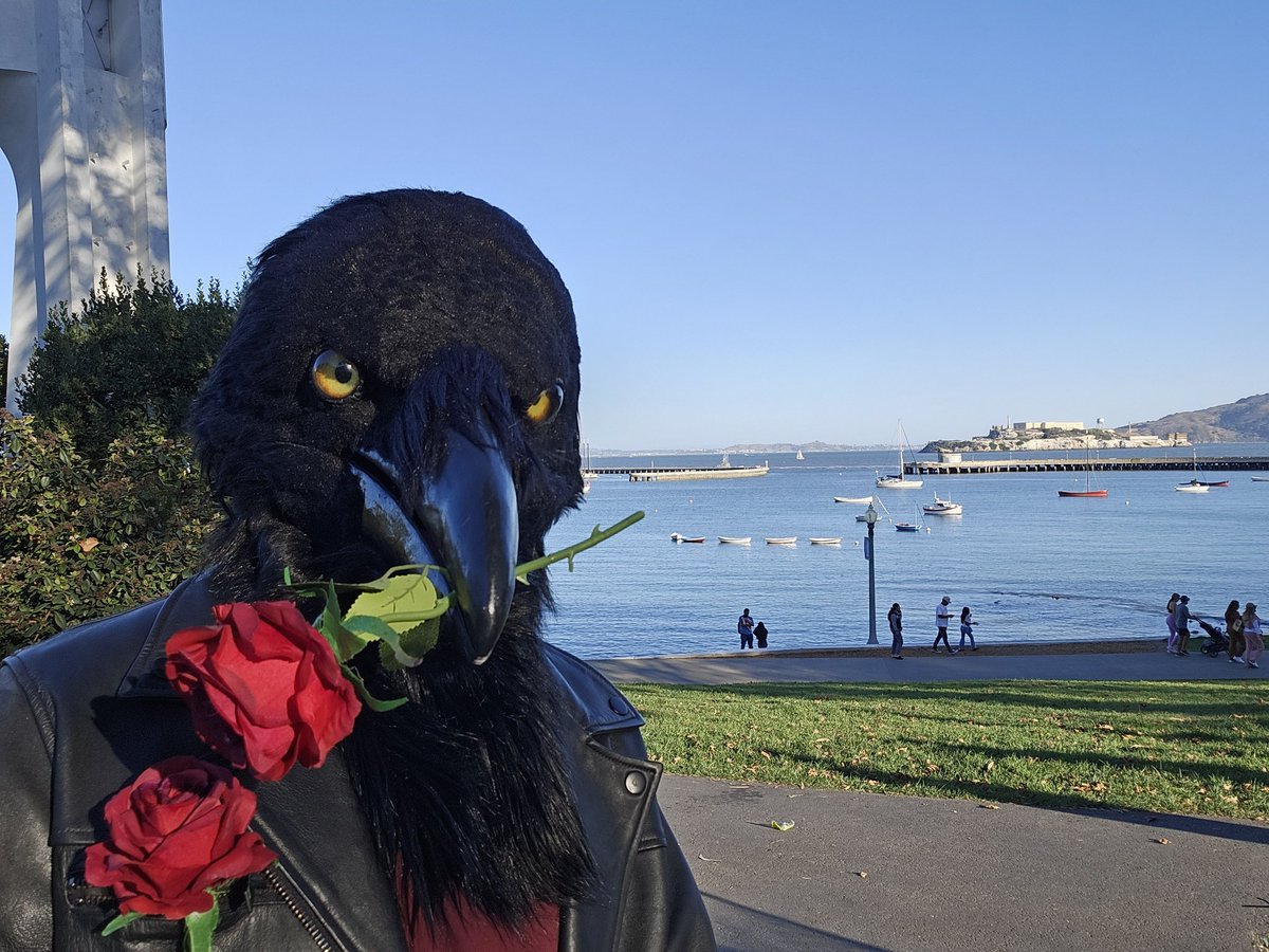 Razar_theRaven's tweet photo. Oi it's this burd's hatchday today, 27 years on the board! https://t.co/U3Lii8Yxe5