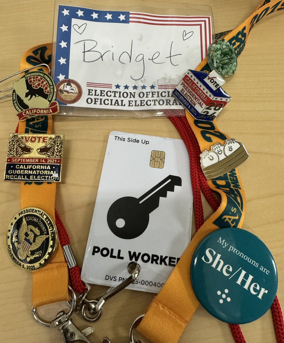 KITH_quotes's tweet photo. Your friendly neighborhood Chicken Lady is also your friendly neighborhood Election Official! 

🗳️Got a question about voting in CA? Send em here ✅ https://t.co/4sNTWvZnnq