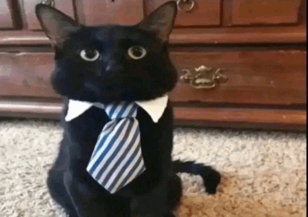 Chayan B. tweet media