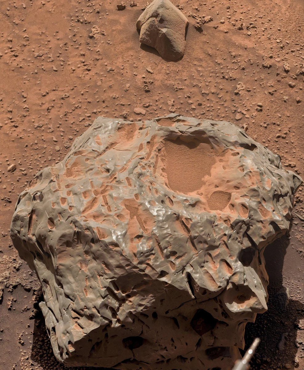 Wolf of X tweet media