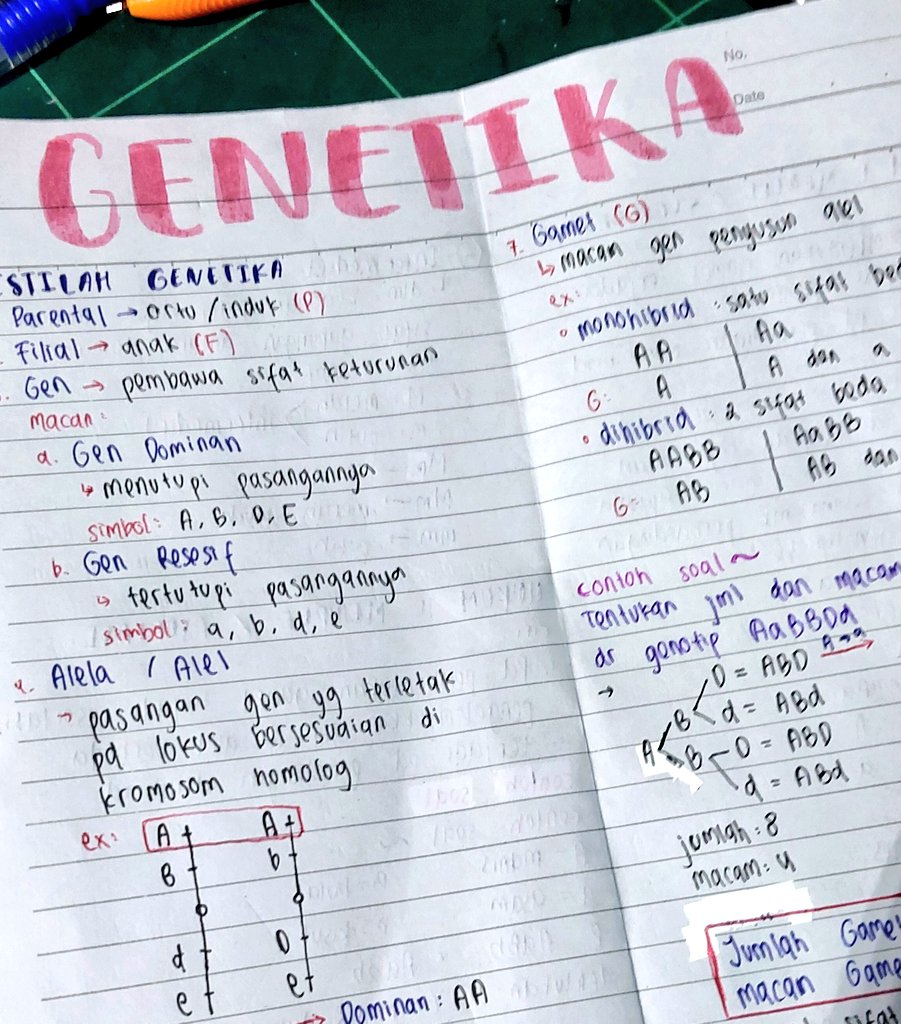 rraspberryblue's tweet image. 🗓04-11-24
                   𓆝 𓆟 𓆞 𓆝 𓆟
🫧  hari ini belajar bio dan mtk. buat bionya aku belajar genetika 🧬 tp baru sampe hukun mendel. dan buat mtk nya aku belajar limit aljabar  yg limit tertentu. 
#studylife #studytwt