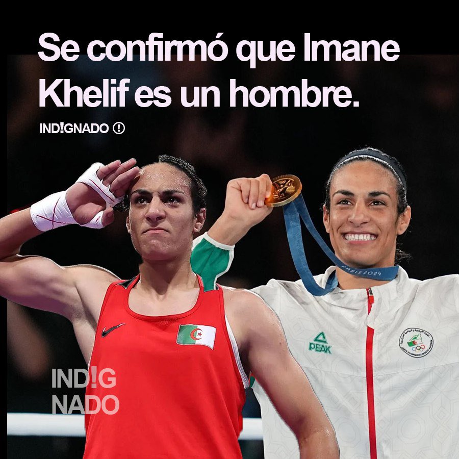 INDIGNADO tweet media