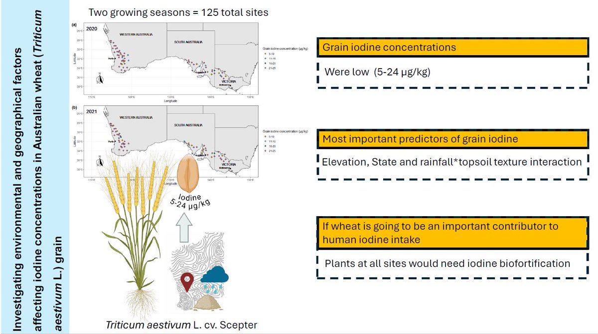 🚨New paper! 🚨
We looked at environmental and geographical factors affecting iodine concentrations in Australian wheat 

Iodine concentrations were low, and distance to coast had no significant effect, unlike findings from Europe

sciencedirect.com/science/articl…