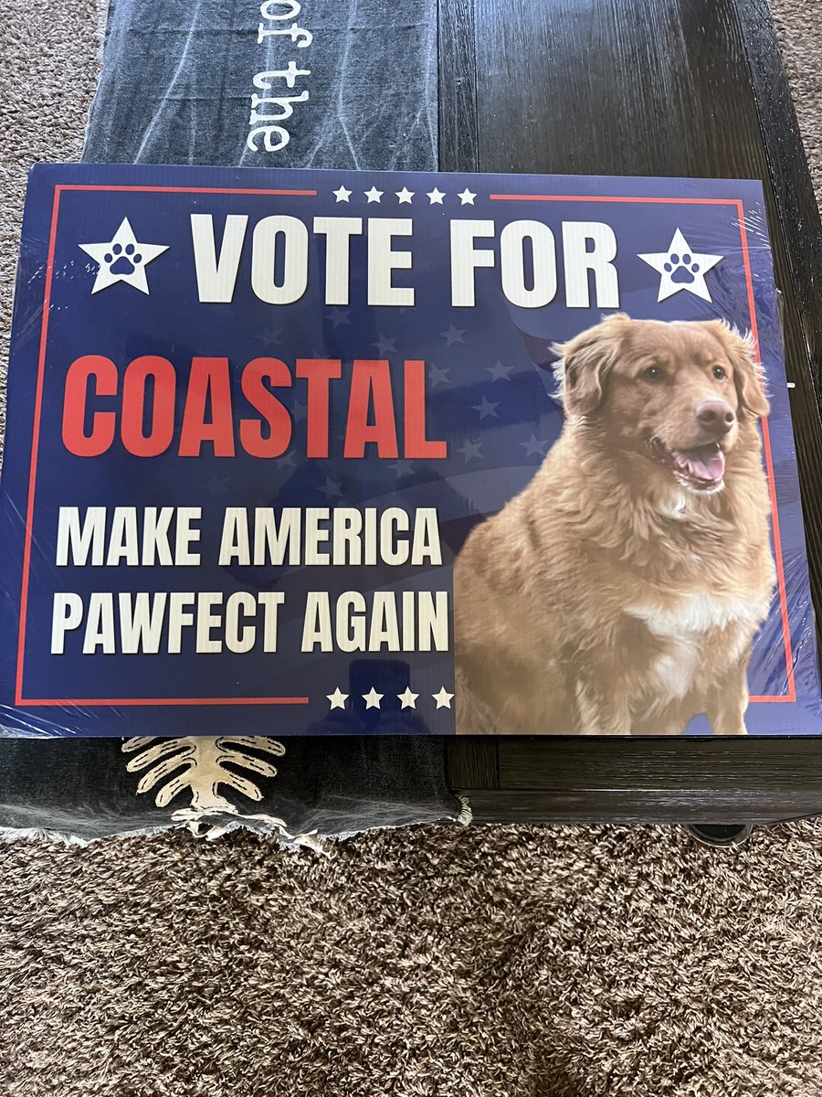 keywest2011's tweet photo. And we love her sooo much.  This is such a great idea to disconnect for the day. Thought I would share my election yard sign with you https://t.co/dIuBBq3bWs