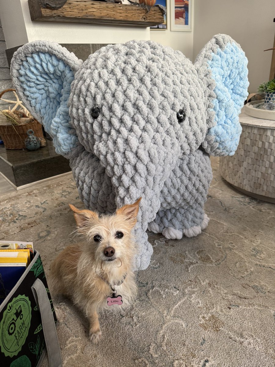 NaomiFPS's tweet photo. I’ve decided to start selling my crochet pieces 🙂 ranging $60+ depending on size and shipping. If you’re interested, my dms are open! https://t.co/9kGgg1jOe4