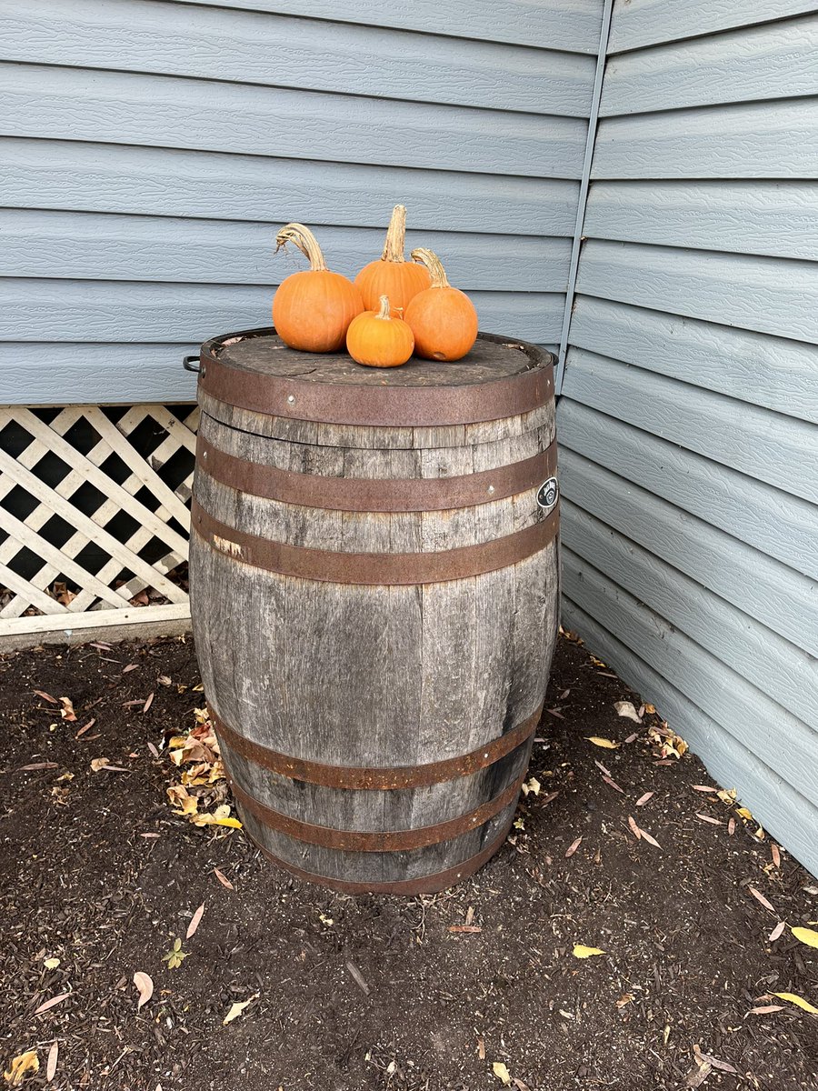 10MinDQ's tweet photo. Hey Juniper….wrong way. And hard to believe, but all 4 pumpkins made it to November. Speaking of November…the @MyPeakChallenge #November28DayChallenge started today. #Accelerate #NewWorkouts and new shirt to kick off the week too…#BecauseTheyAllMatter #NotTaDay @RescueCoop https://t.co/fAkZDlCtnk