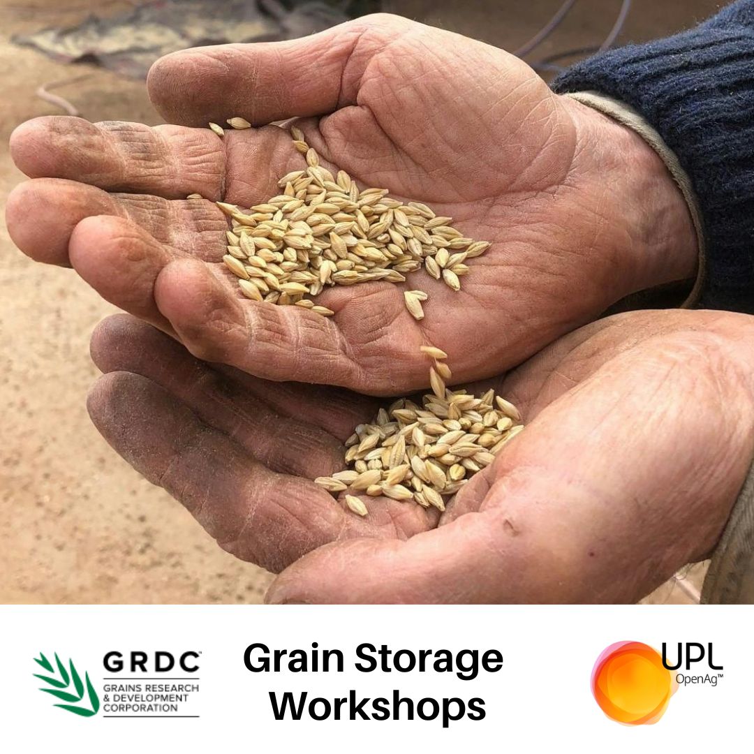UPLAUSLtd's tweet photo. 🌾#UPL is proud to work @theGRDC & @mrchriswarrick to bring #GrainStorage workshops sharing tips & tools including #QuickPhos® fumigant for protecting grains & safeguarding profits.
Register to participate 👉 https://t.co/UU9CCbfxwU
#OpenAg https://t.co/16yZoPpGfk