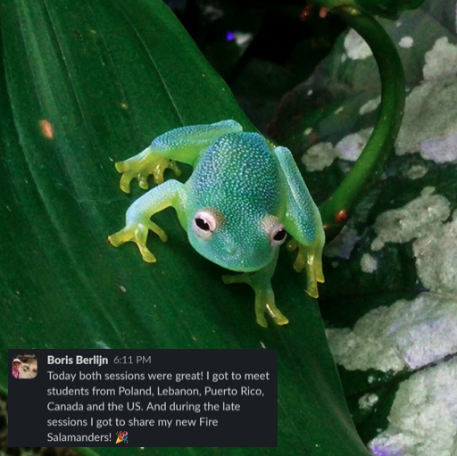 amphibianfound's tweet photo. Boris Berlijn, AF's Virtual Education Coordinator, had a fantastic set of live #MasterHerpetologist sessions! Because this online course is asynchronous, we welcome #InternationalAF learners! Check out our next section beginning on January 8 below!
https://t.co/o8vQZZDwak https://t.co/vaAexvmLhn