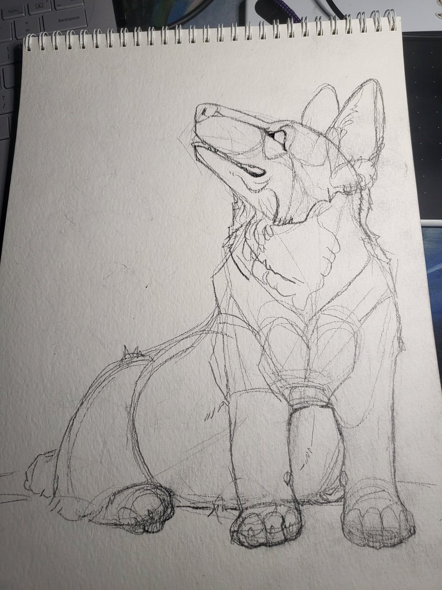 Camphorous (@camphorous) on Twitter photo 