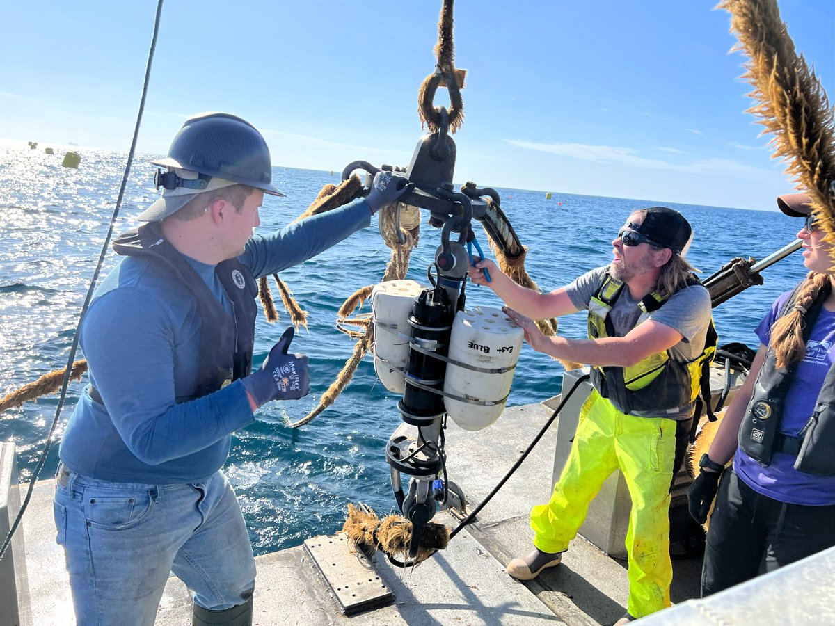 U.S. TEAMER Program tweet media