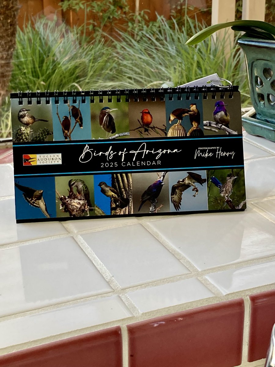 bruisermom's tweet photo. Hot off the press &amp; arrived today —⁦⁦⁩ gorgeous new calendar to benefit ⁦⁦@tucsonaudubon⁩ by @OnlyVeesAz  Highly recommend! ⁦@geococcyxcal⁩ ⁦@watchinthesky⁩ ⁦@miklextic⁩ https://t.co/Um7Sh1J3om