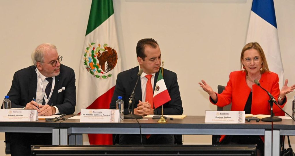 LuisRosendo_'s tweet image. En representación del secretario @m_ebrard, recibí en @SE_mx a la embajadora de Francia en México, Delphine Borione y la misión empresarial francesa donde destacó la inversión de empresas francesas en el país y el interés del @GobiernoMX que encabeza la presidenta @Claudiashein…