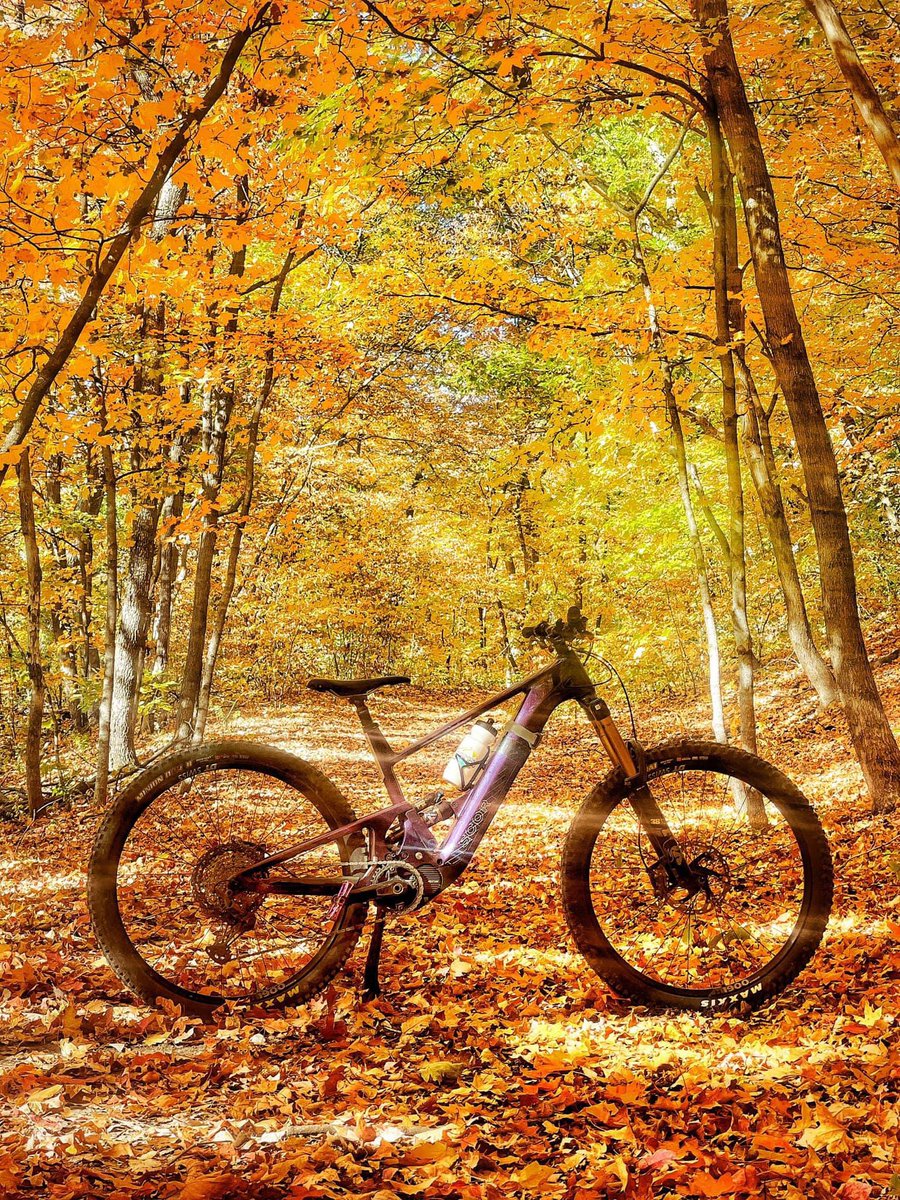 Enjoy Fall with a bike ride!   Photo courtesy of St Joseph Trail Alliance
