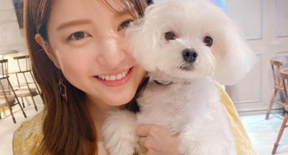 shota4680596933's tweet image. 【衝撃】川島海荷が語る健康オタク生活と理由「目覚めた日から」…#川島海荷 #健康法 #健康オタク #体調管理 #美容と健康 #芸能人のライフスタイル
latest-trendynews.com/archives/27194…