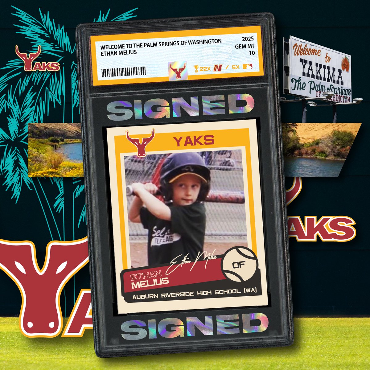 Yaks_Baseball's tweet photo. The Yaks welcome 2025 @EthanMelius from Auburn, WA to Palm Springs 🌴🤘🏽 https://t.co/1y1jsfbvpd