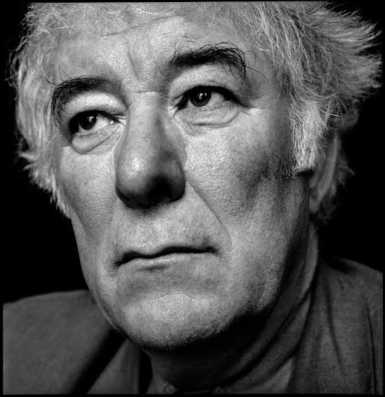 “I can't think of a case where poems changed the world, but what they do is they change people's understanding of what's going on in the world.”

― Seamus Heaney