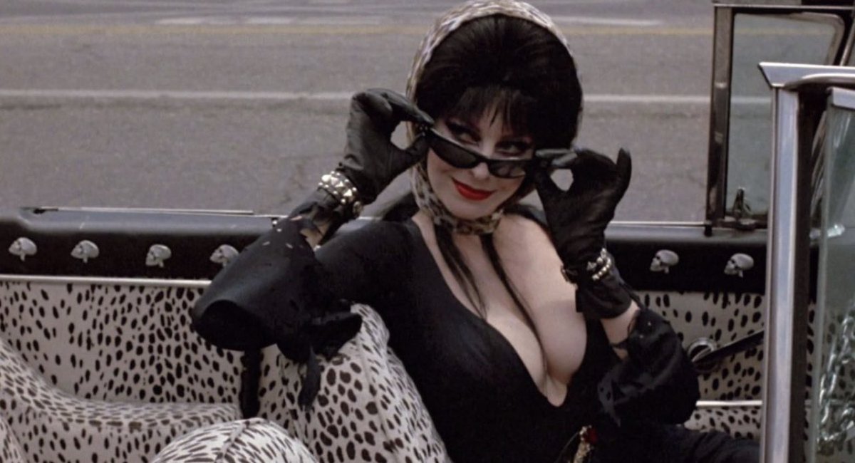 Everything Elvira Clips + Photos tweet media