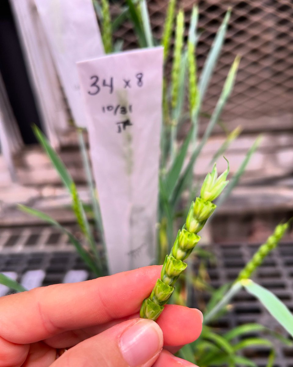 Jessica Rutkoski tweet media