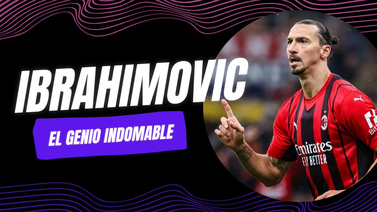 Mercatosphera tweet media