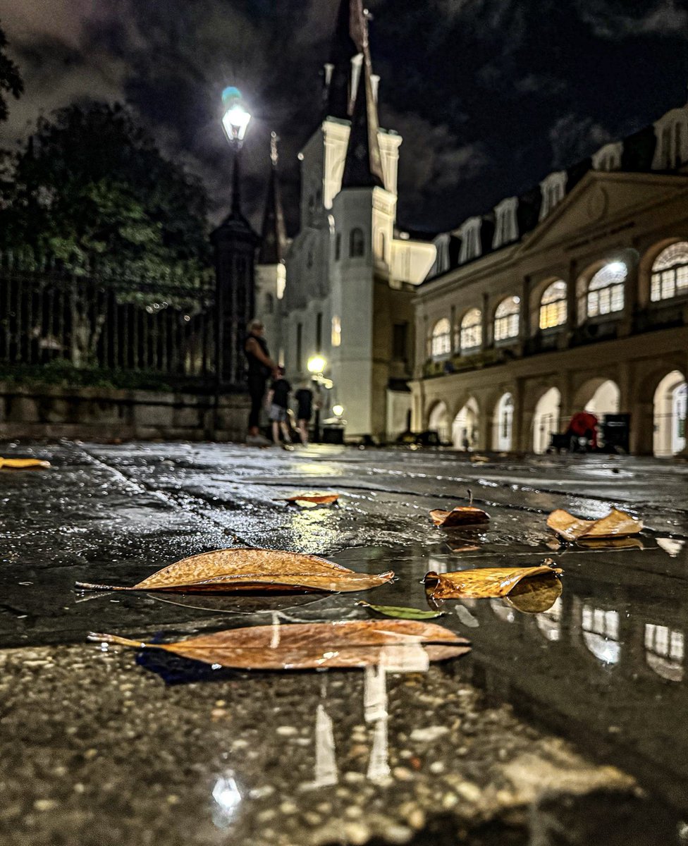 marcorasi1960's tweet photo. Autumn leaves, Jackson Square, New Orleans https://t.co/M2jw4xoNg1