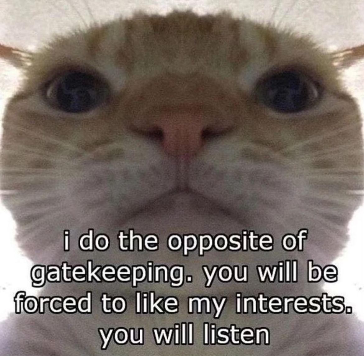 Wild TikToks (@wildtiktokss) on Twitter photo 