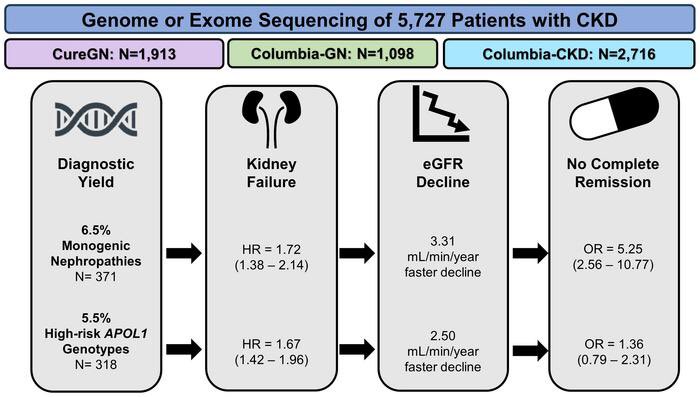 Increased risk of kidney failure in patients with genetic kidney disorders pubmed.ncbi.nlm.nih.gov/39225089/