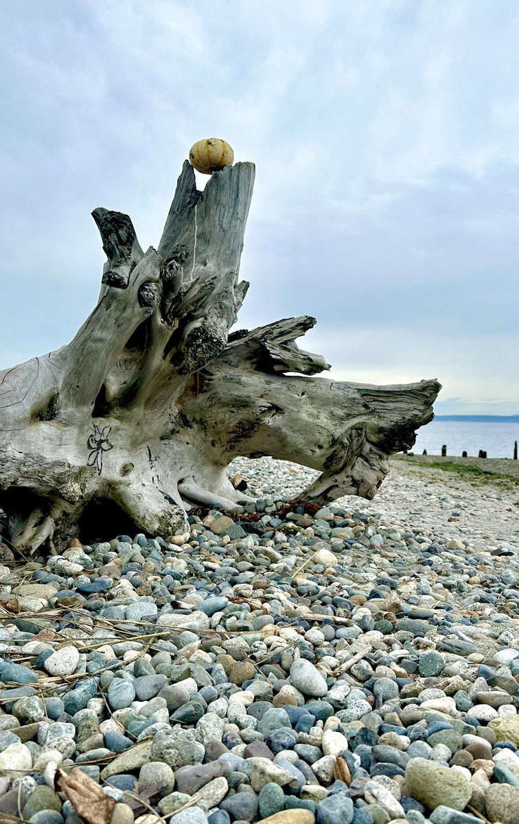 Ghosting Agamemnon 🌬🏛🌋 tweet media