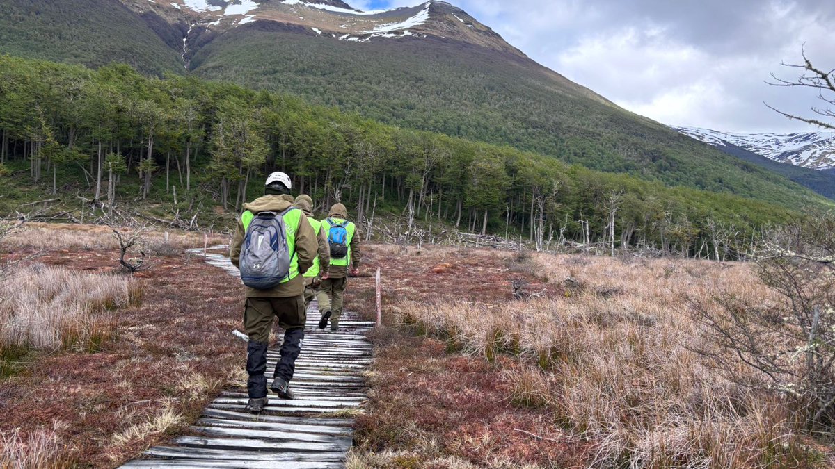 Durante la jornada de hoy, se estableció el Comando Incidente en el Parque #Kurukinka a cargo del jefe del Gope de <a href="/Carabdechile/">Carabineros de Chile</a> #Magallanes quienes establecieron nuevos focos de búsqueda para lograr ubicar a los tres turistas extraviados desde este domingo 
#CarabinerosDeTodos