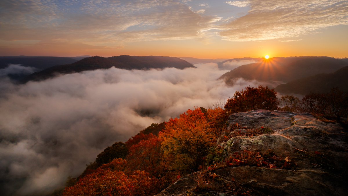 Michael Gillman tweet media