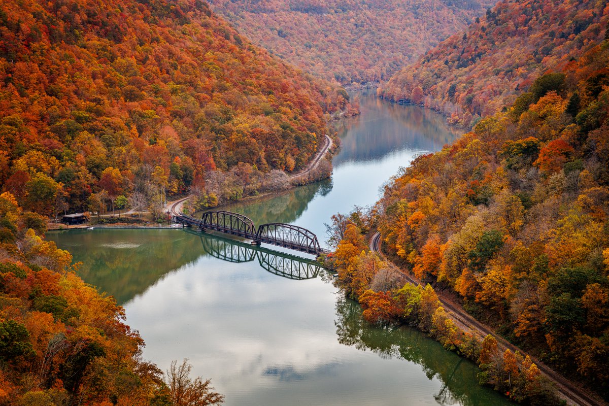 Michael Gillman tweet media