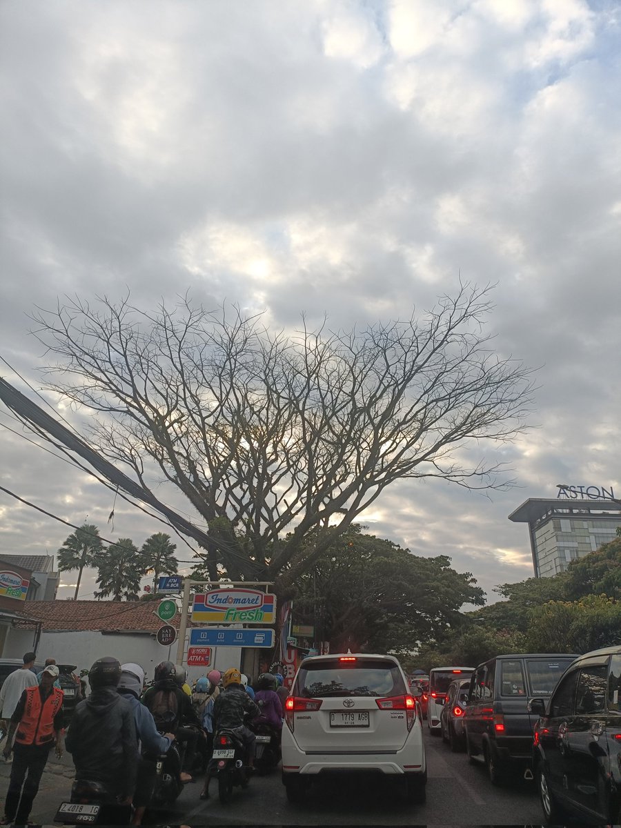 dasinaga's tweet photo. @PRFMnews ,tolong Dinas terkait pertamanan kota bandung, pohon d jln Pasteur arah tol DPN Indomaret..pohon yg bakal membahayakan klo tidak d tangani🙏 https://t.co/9fqY5Dy8E6